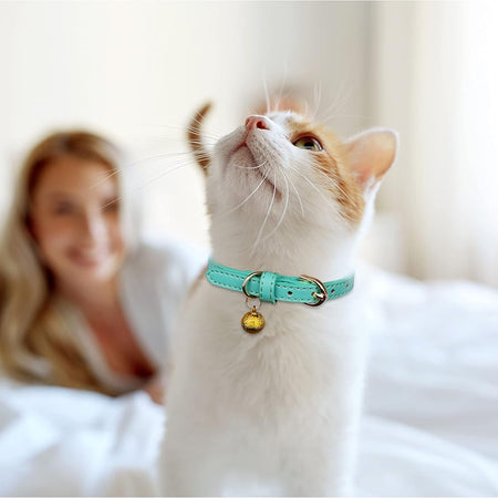 3 Pack Leather Cat Collars with Bells Soft Pet Safety Collar Kitten Collars with Bell Orange Yellow Mint Green(S)